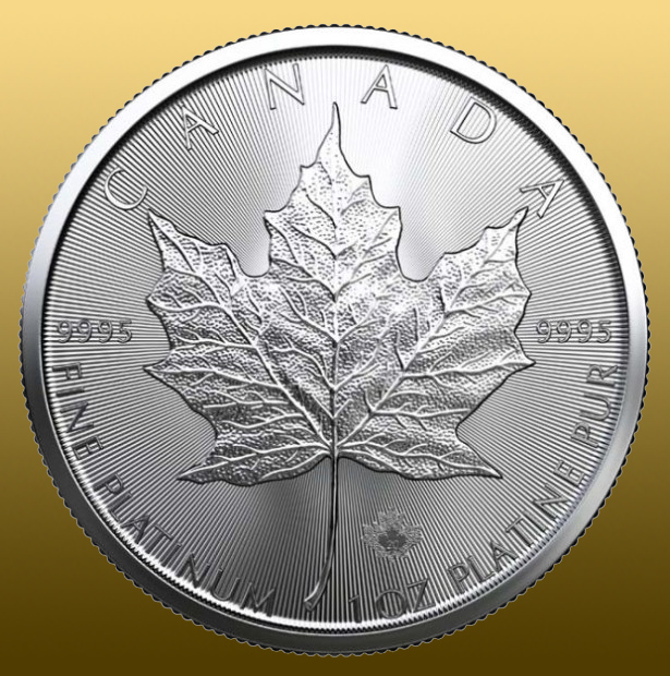 Platinová minca 1 Oz Maple Leaf - 999,5/1000 Pt