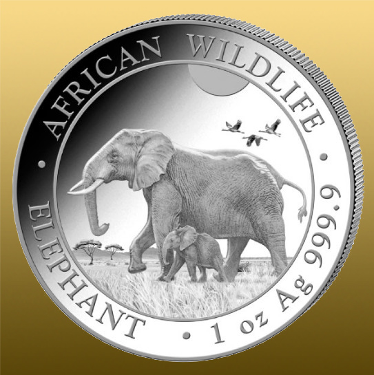 Somalia Elephant - 2022 999/1000 Ag - každý rok sa razí s iným vyobrazením slonov