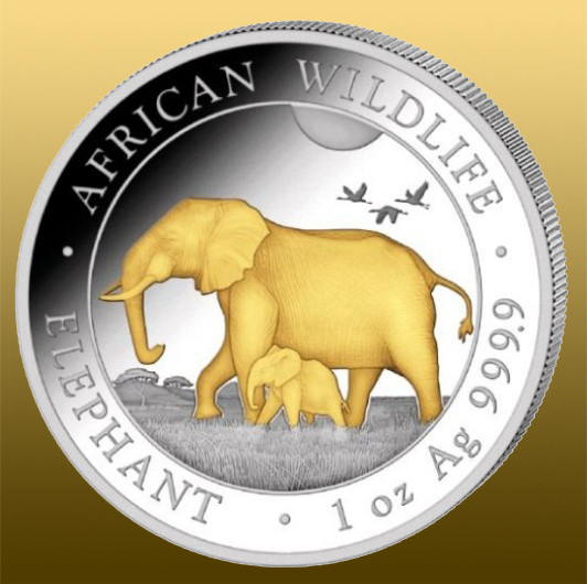Somalia 1 Oz Elephant - 2022 POZLÁTENÝ 999/1000 Ag - každý rok sa razí s iným vyobrazením slonov